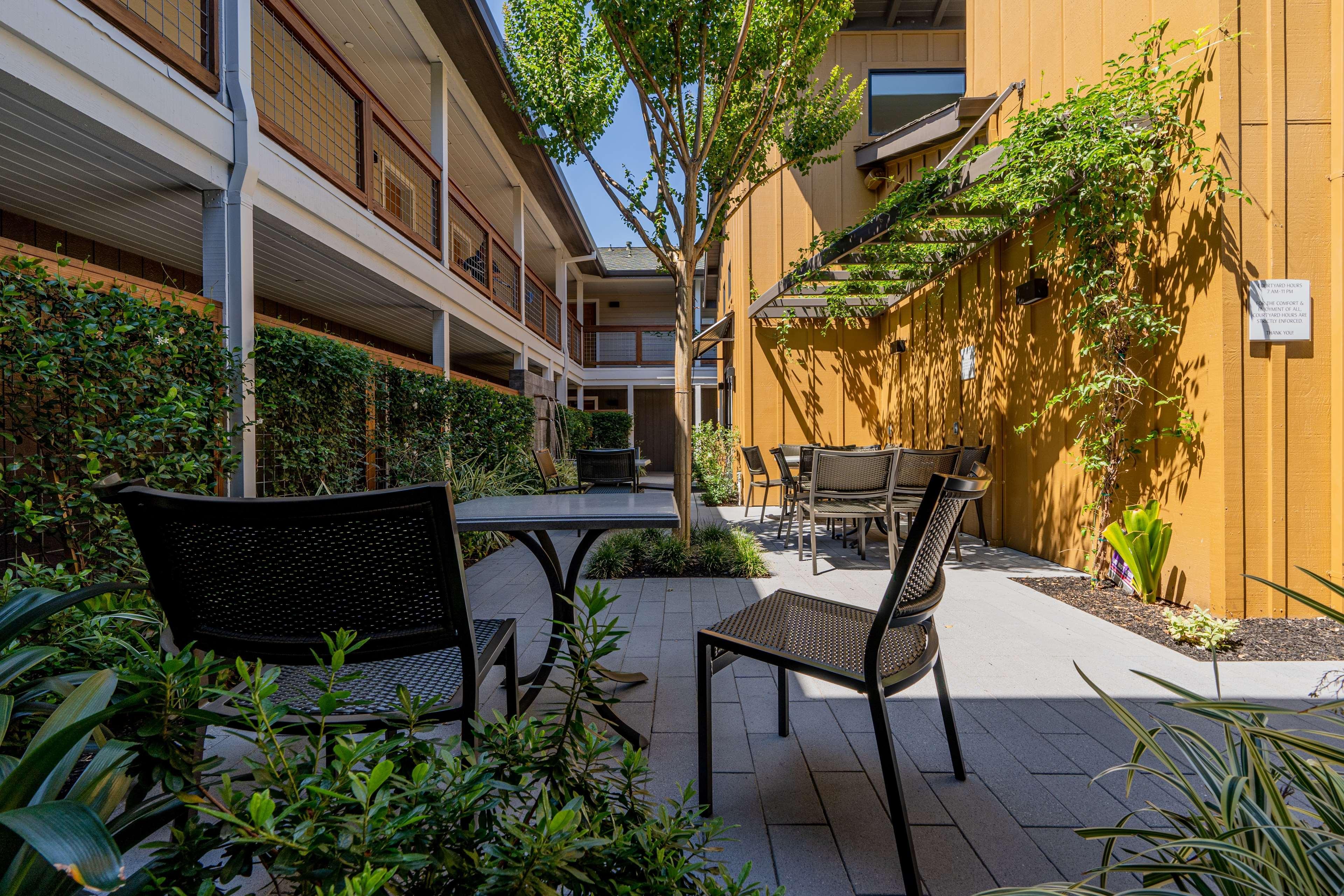 Best Western Plus Stevenson Manor Calistoga Εξωτερικό φωτογραφία